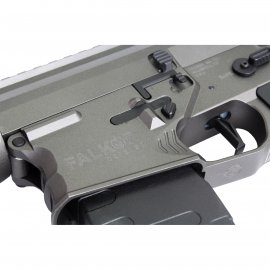 Airsoft AR-15 (APS ASR-6 Falkor Defense) 4