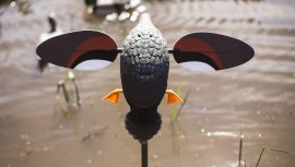 Balabán MOJO Gadwall - Kachna Kopřivka 2