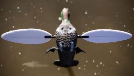 Balabán MOJO Teal - Čírka Obecná