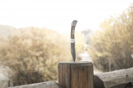 Zavírací nůž Winchester Lasso