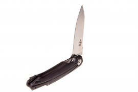 Zavírací nůž Ganzo Firebird FH21-BK