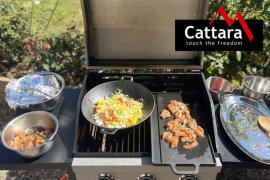WOK LITINA 05.jpg
