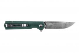 Ganzo Firebird 02.jpg
