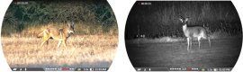 Multispektrální zaměřovač DNT Optics ThermNight TNC635R 8.jpg
