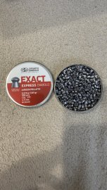 Recenze: Diabolo JSB Exact Express 4,52mm 500ks - 1