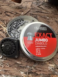Recenze: Diabolo JSB Exact Jumbo 5,52mm 250ks - 1