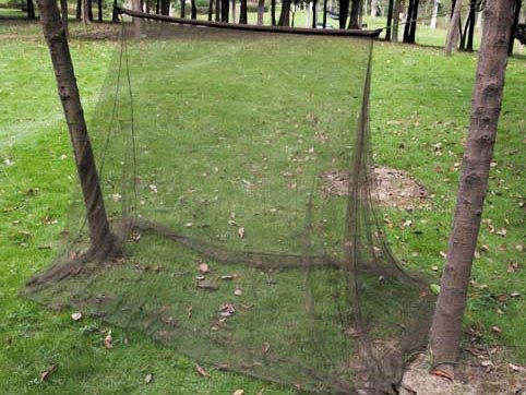 Kempingová moskytiéra MFH zelená 2x1 5x1 m