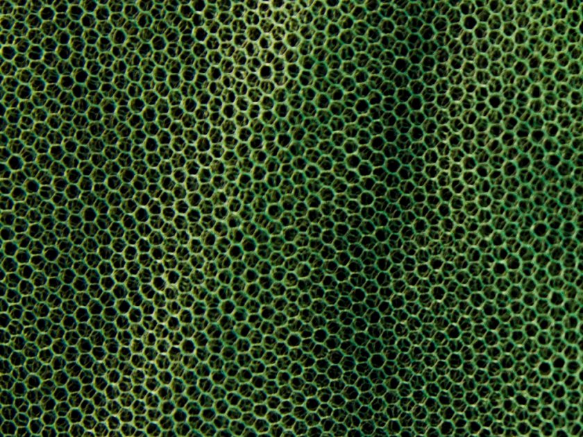 Moskytiéra MFH malá zelená 0,63x2x8 m