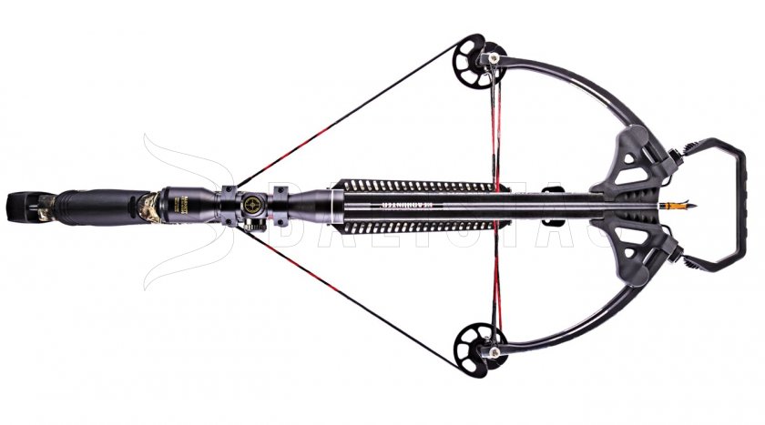 Kuše Barnett Raptor FX2 150lb
