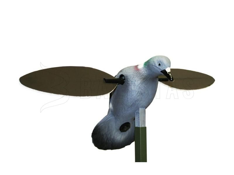 Balabán MOJO Pigeon - Holub