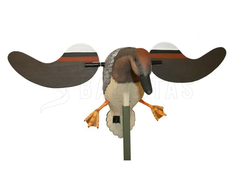 Balabán MOJO Gadwall - Kachna Kopřivka