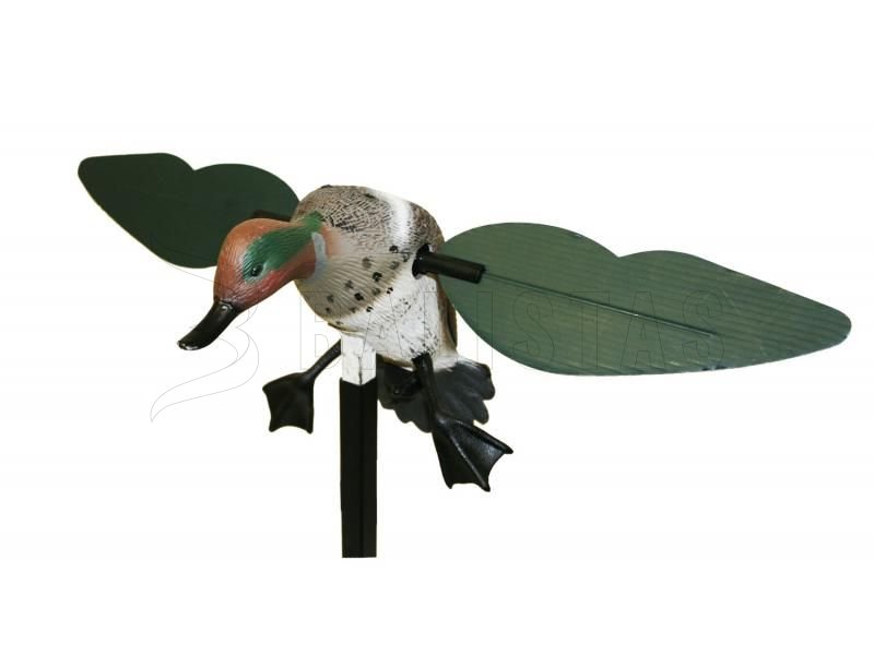 Balabán MOJO Teal - Čírka Obecná