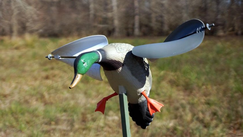 Balabán MOJO Wind Duck Mallard - Větrný Divoký Kačer