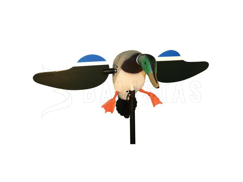 Balabán MOJO Mallard Drake - Divoký Kačer