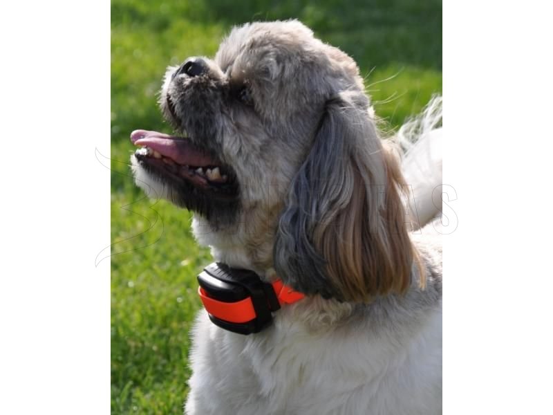 Obojek Dogtrace d-control professional 2000 orange