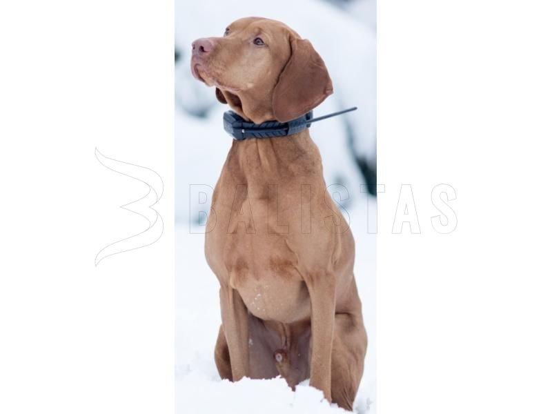 Obojek pro GPS lokátor Dogtrace DOG GPS X20