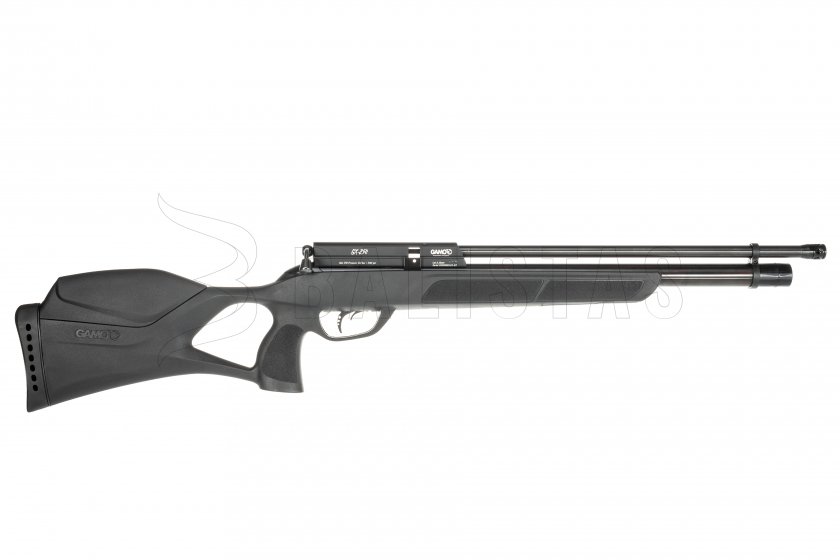 Gamo GX - 250_0047_IMG_9975