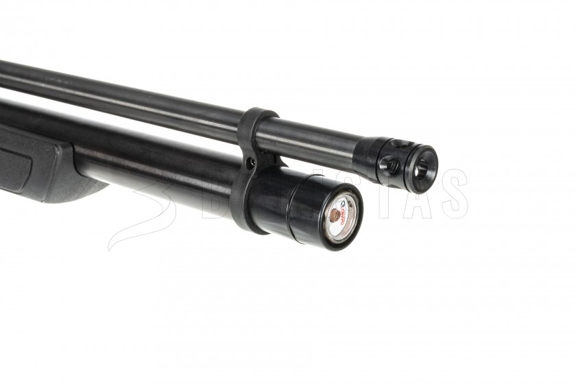 Gamo GX - 250_0049_IMG_9977
