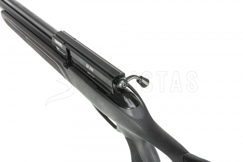 Gamo GX - 250_0045_IMG_9974
