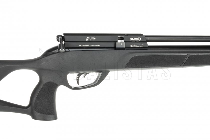 Gamo GX - 250_0050_IMG_9976