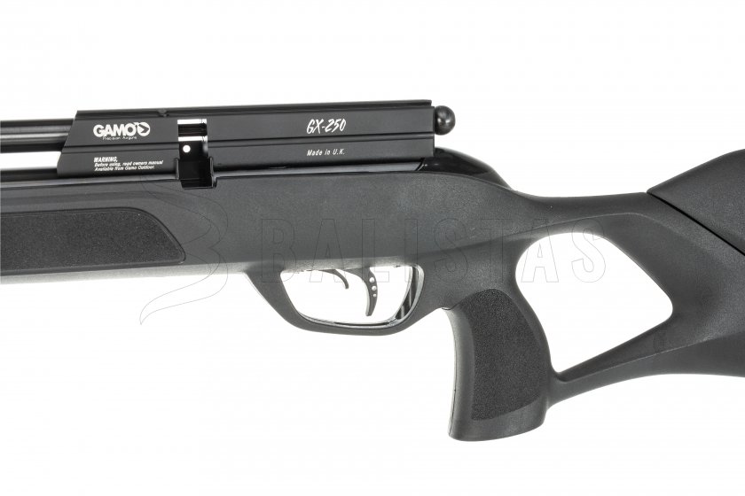 Gamo GX - 250_0046_IMG_9973