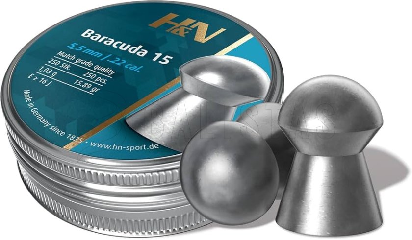 H&N Baracuda 15 2.jpg