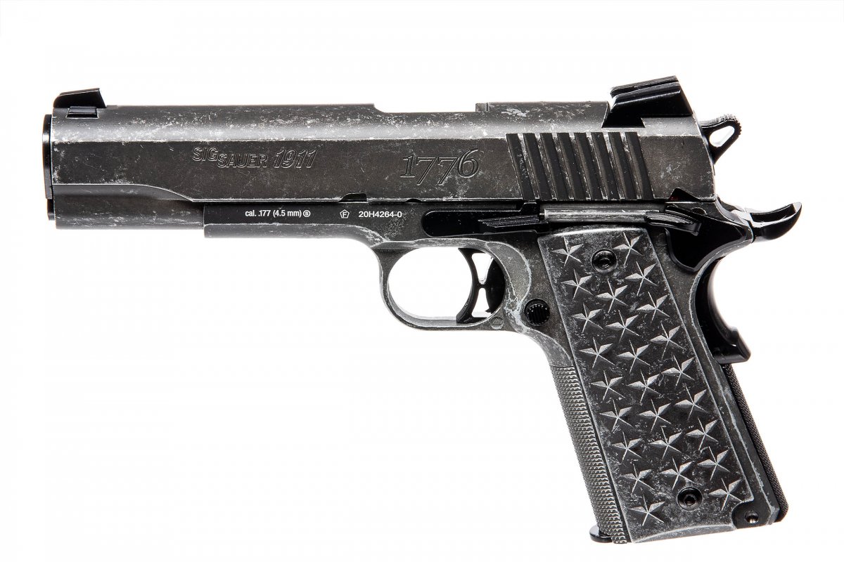 1911 Sig Sauer we the people
